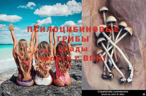альфа пвп VHQ Новодвинск